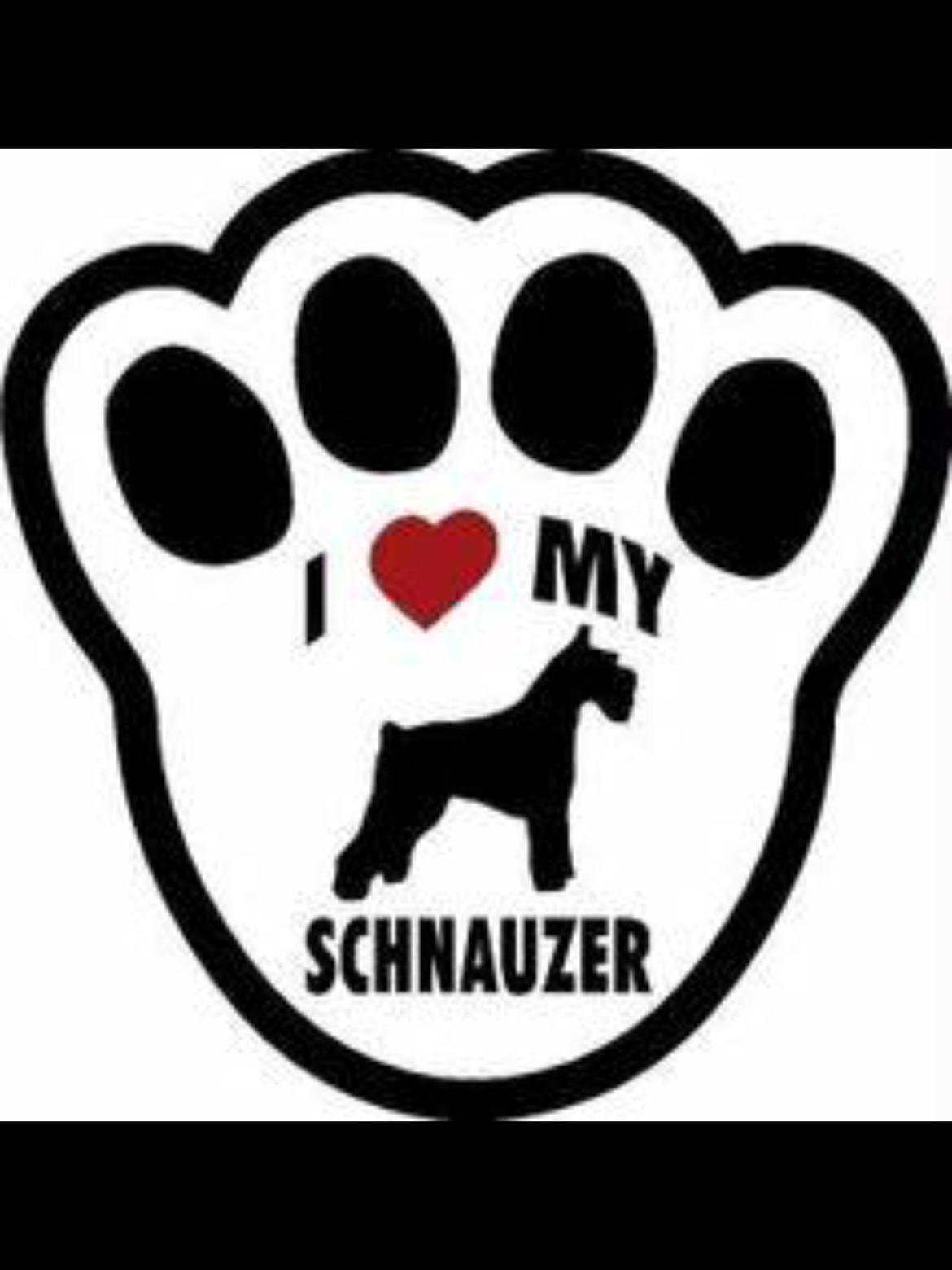 Schnauzer.png